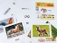 ЗІРКА Карточки мини Домашние животные 11х11 см 65945 7