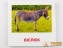 ЗІРКА Картки міні Домашні тварини 11х11 см 65945 5