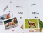 ЗІРКА Карточки мини Домашние животные 11х11 см 65945 3
