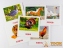 ЗІРКА Картки міні Домашні тварини 11х11 см 65945 4