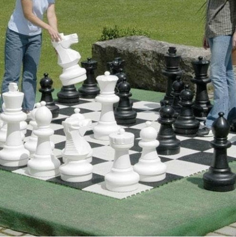 Малое поле для шахмат Rolly Toys 218950